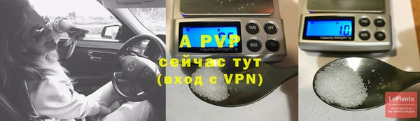 амф Вязьма