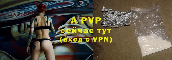 молекула духа Чердынь